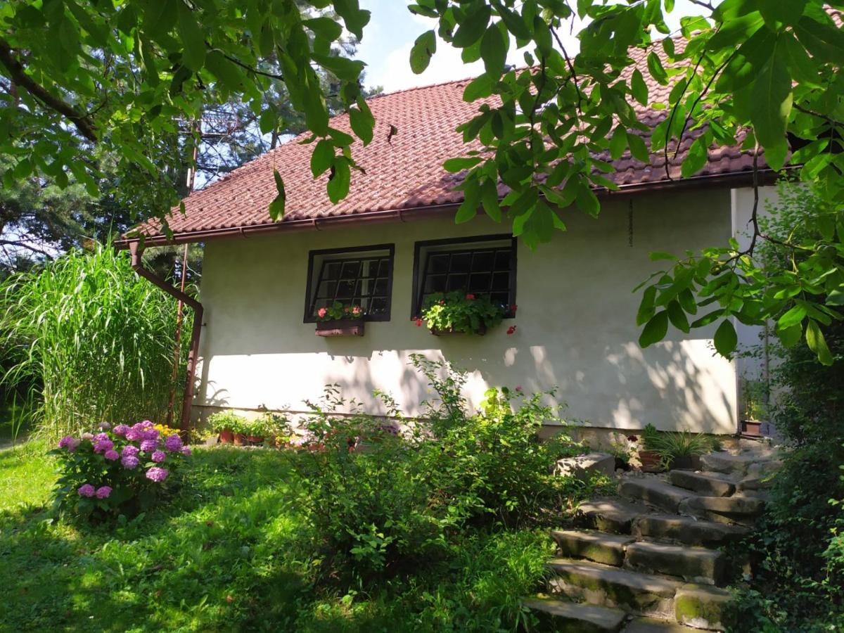 Ubytovani V Ceskem Raji Hotel Holin Exterior photo